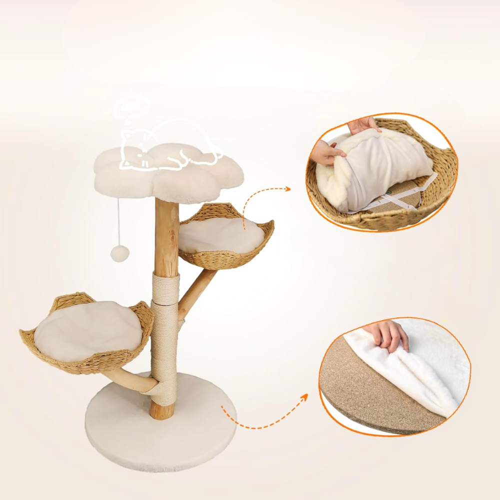 Natura 111 – Felokat