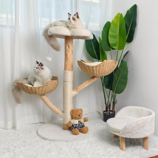 Natura 111 – Felokat