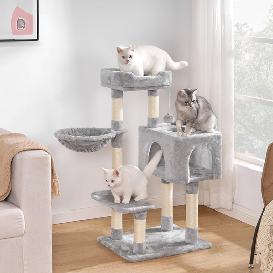 Base 100 – Felokat