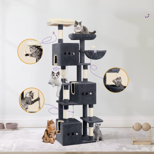 Loft 193 – Felokat