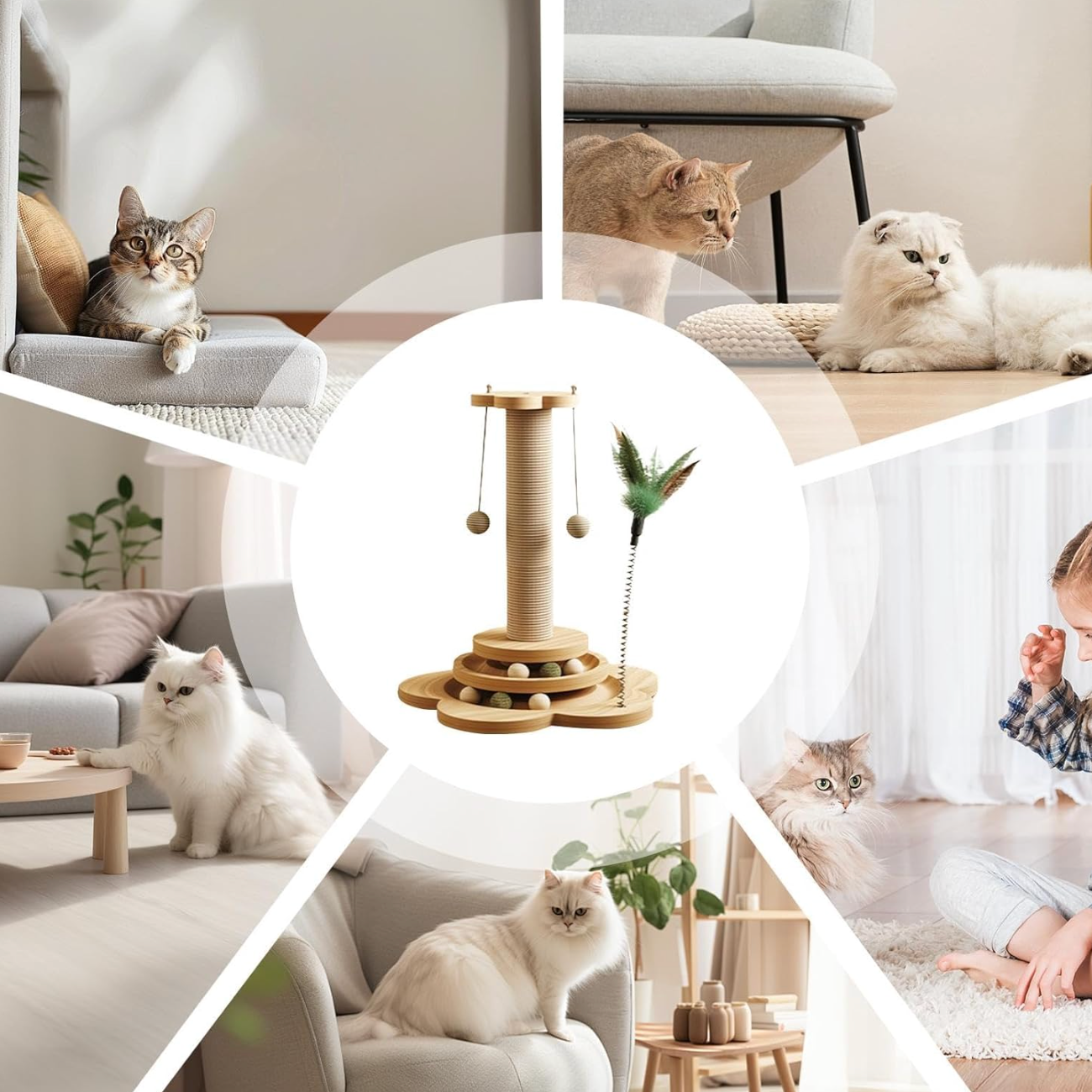 Natura 46 – Felokat