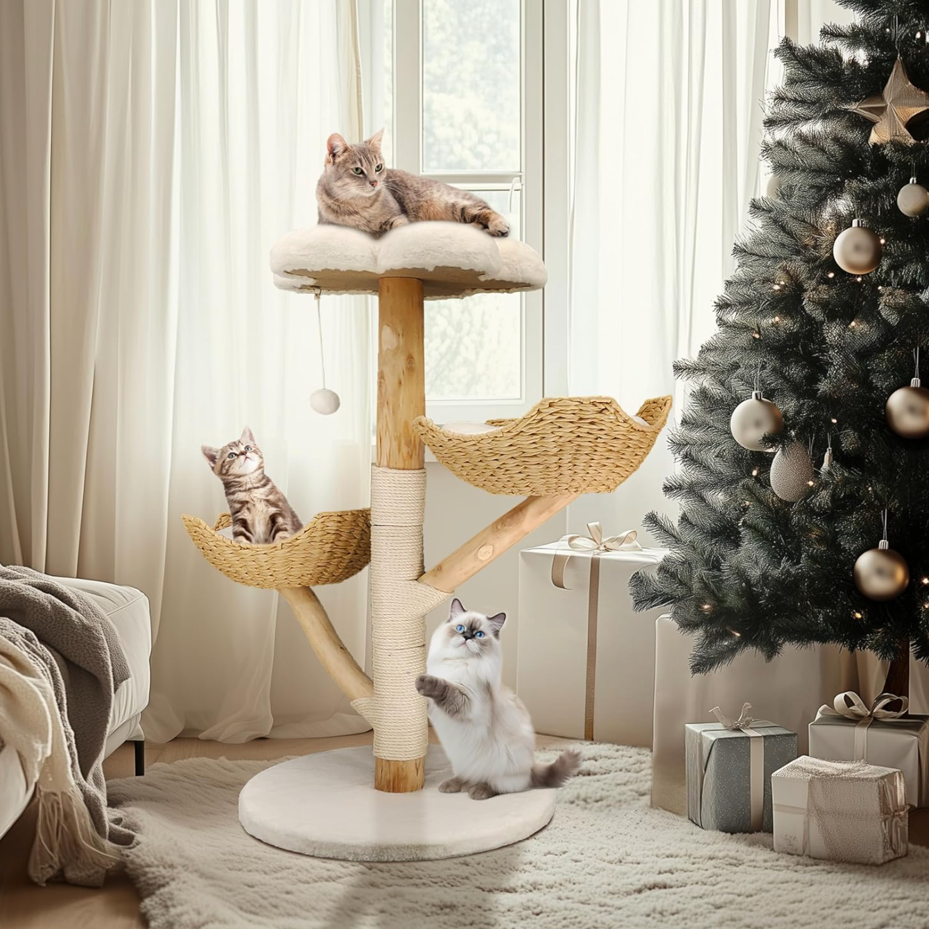 Natura 111 – Felokat