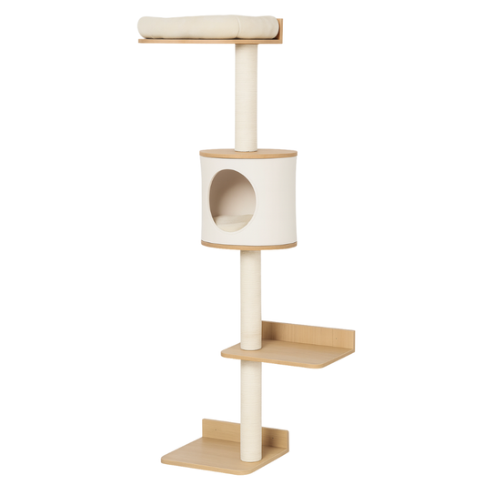 Wall 149 – Felokat