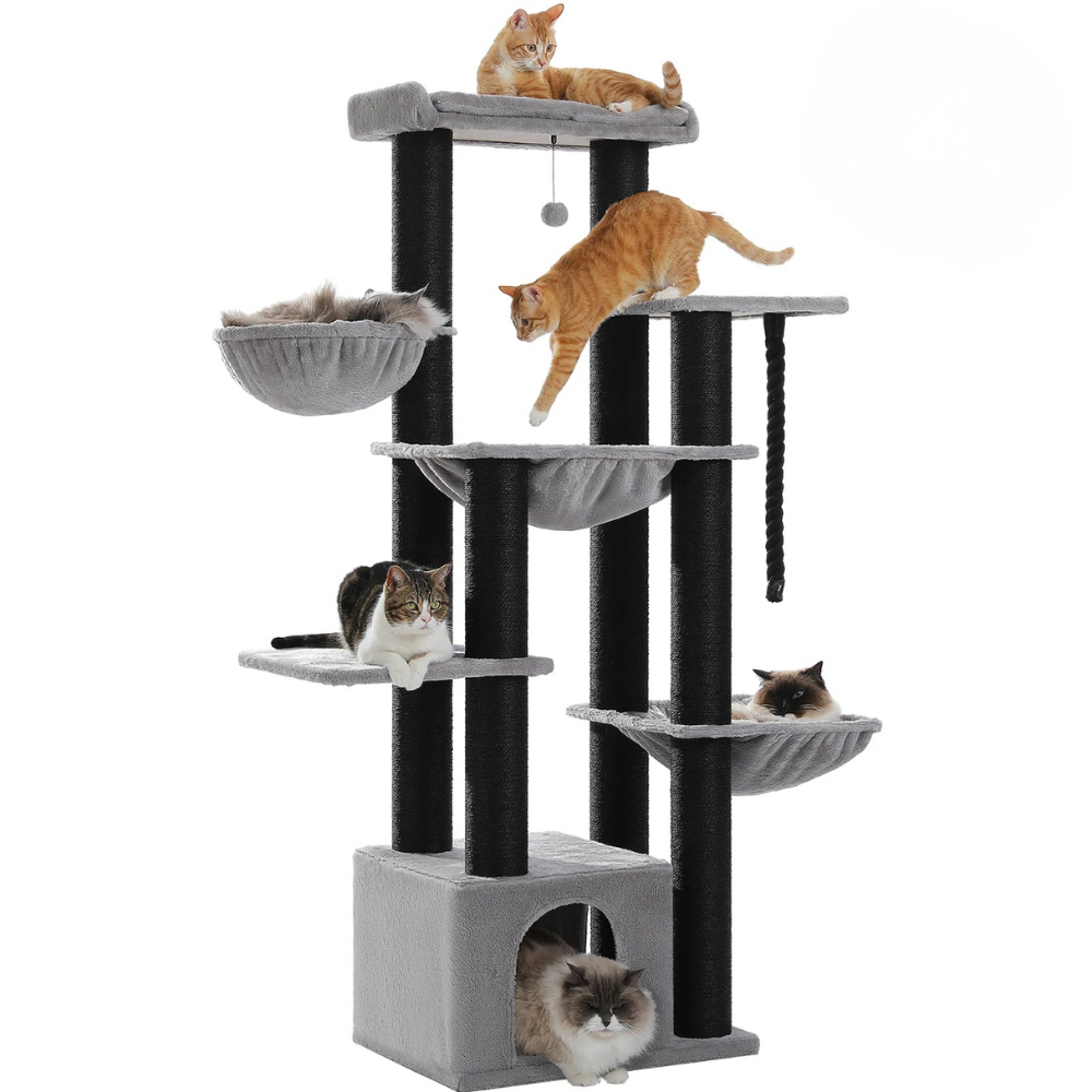 Loft 169 – Felokat