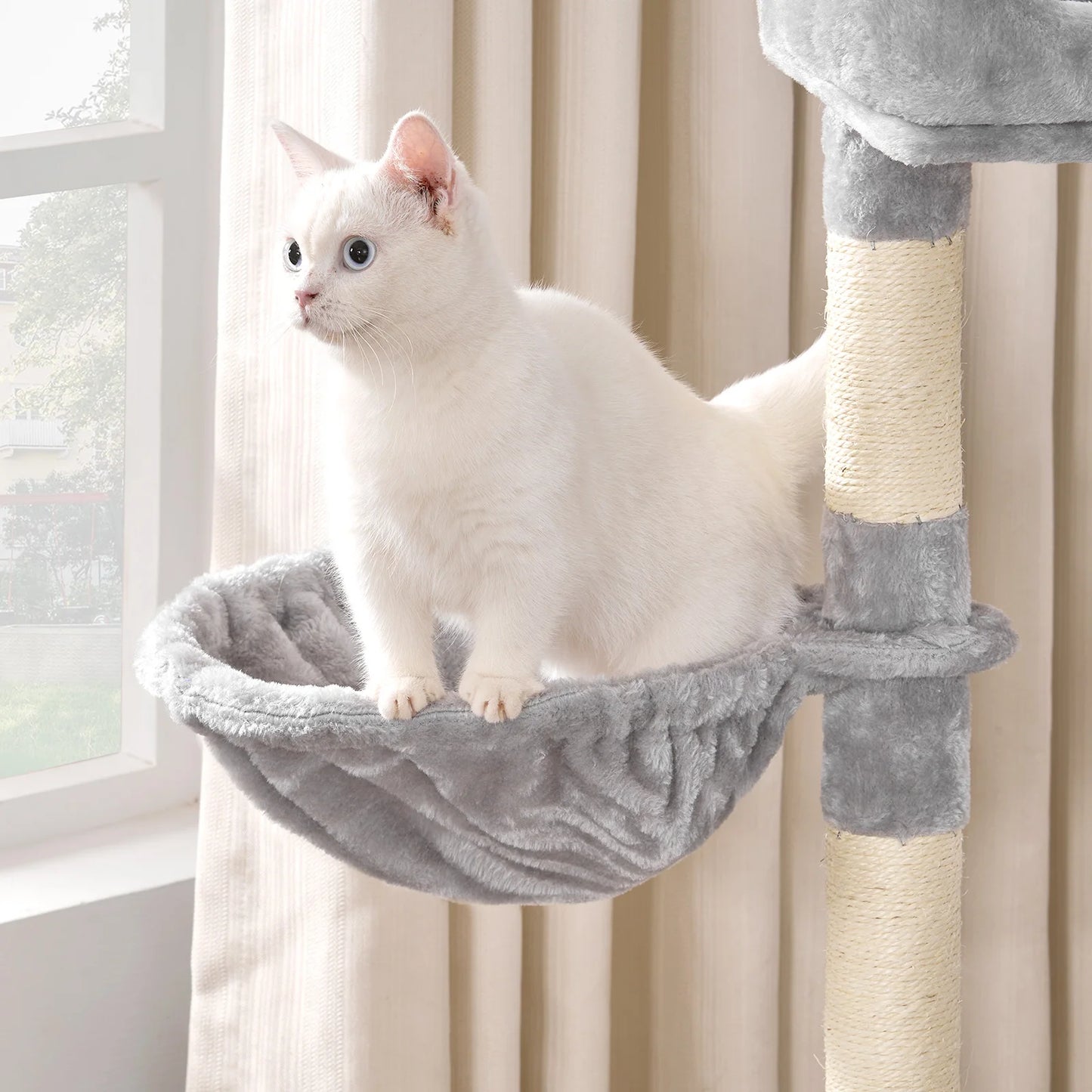 Base 100 – Felokat