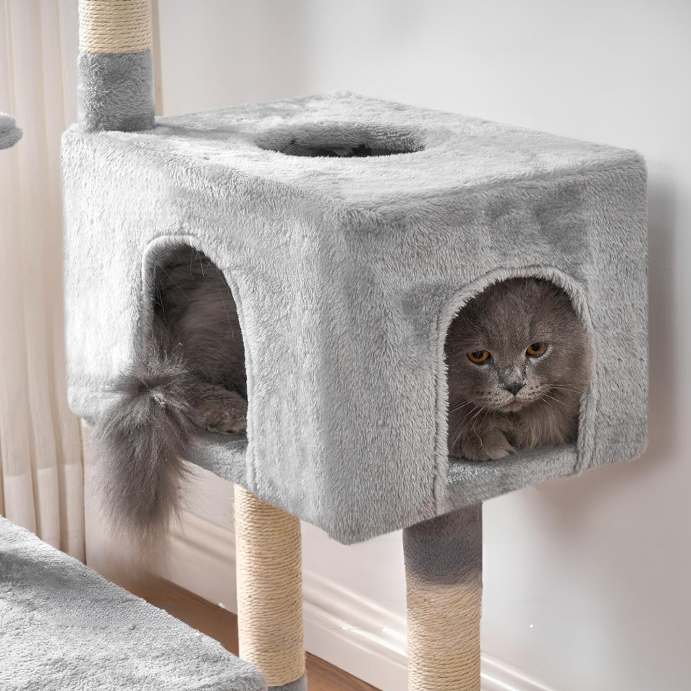 Base 100 – Felokat