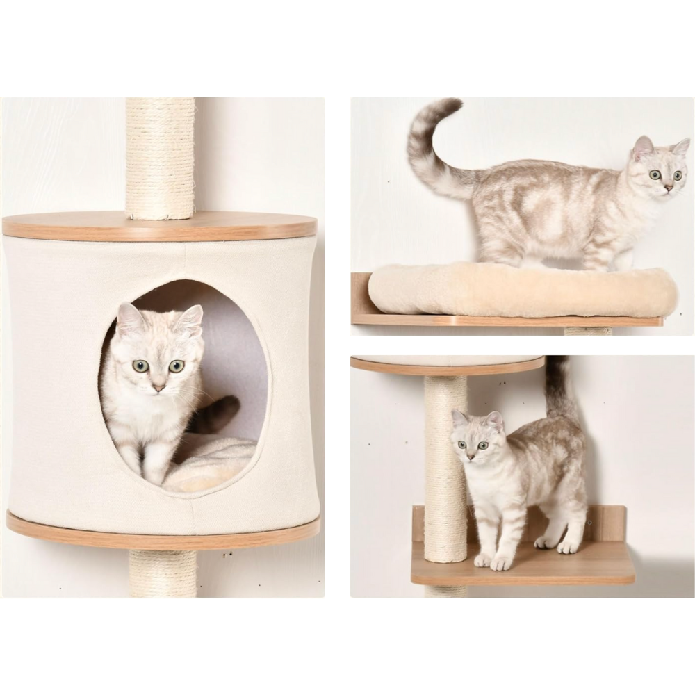 Loft 206 – Felokat