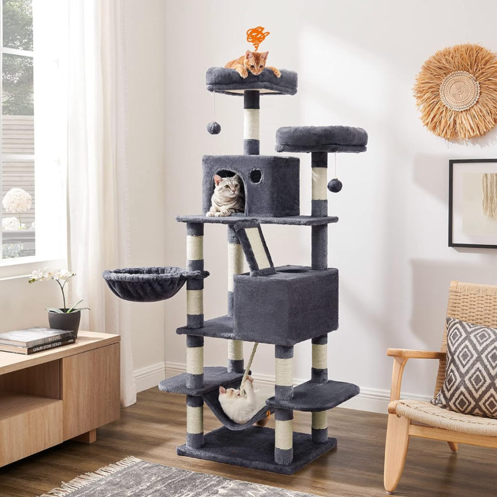 Loft 206 – Felokat